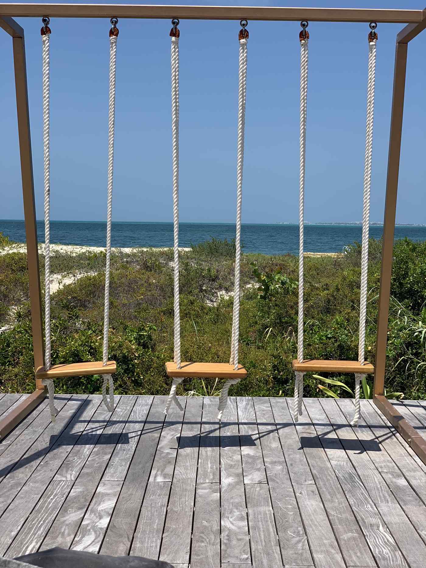 Three rope swings overlooking the ocean at a family resort